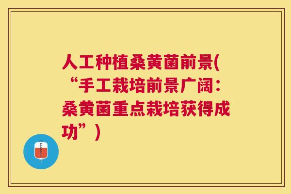 人工种植桑黄菌前景(“手工栽培前景广阔：桑黄菌重点栽培获得成功”)