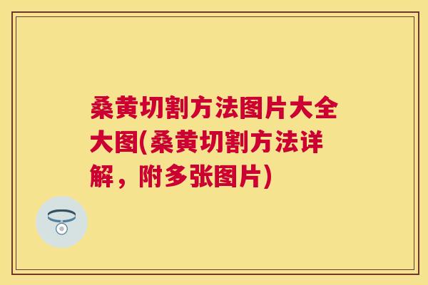 桑黄切割方法图片大全大图(桑黄切割方法详解,附多张图片) 桑黄切割方法图片大全大图(桑黄切割方法详解,附多张图片)