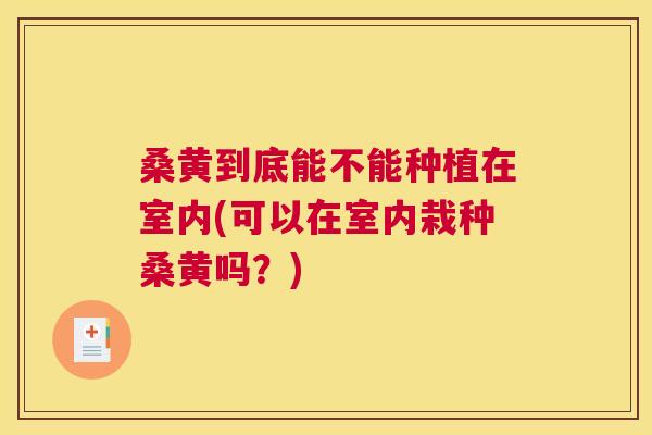 桑黄到底能不能种植在室内(可以在室内栽种桑黄吗?) 桑黄到底能不能种植在室内(可以在室内栽种桑黄吗?)