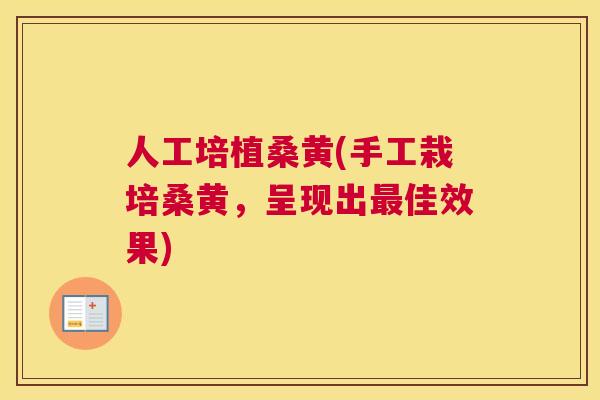 人工培植桑黄(手工栽培桑黄,呈现出佳效果) 人工培植桑黄(手工栽培桑黄,呈现出佳效果)