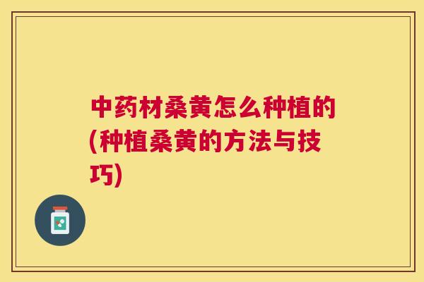 材桑黄怎么种植的(种植桑黄的方法与技巧) 材桑黄怎么种植的(种植桑黄的方法与技巧)