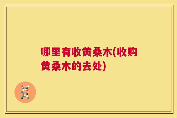 哪里有收黄桑木(收购黄桑木的去处) 哪里有收黄桑木(收购黄桑木的去处)