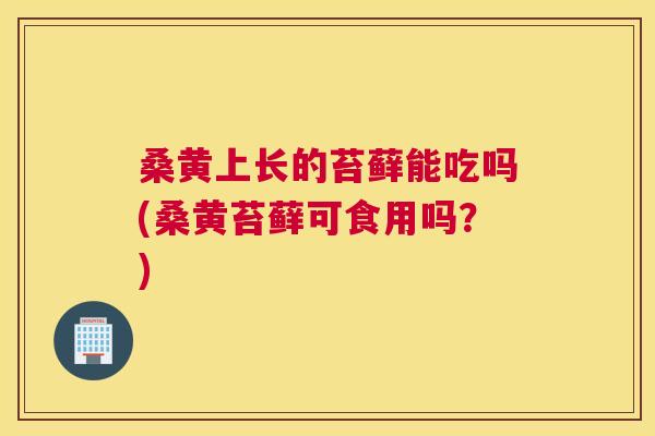 桑黄上长的苔藓能吃吗(桑黄苔藓可食用吗?) 桑黄上长的苔藓能吃吗(桑黄苔藓可食用吗?)