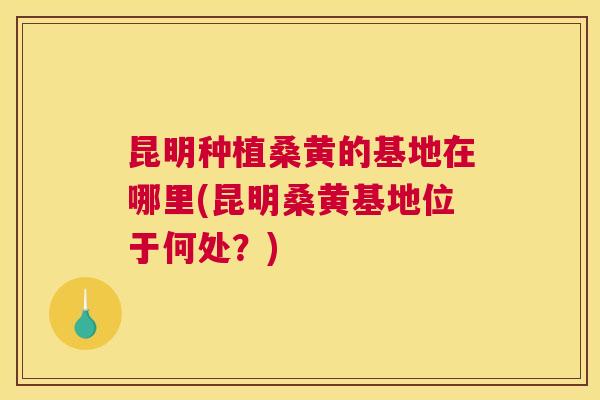昆明种植桑黄的基地在哪里(昆明桑黄基地位于何处?) 昆明种植桑黄的基地在哪里(昆明桑黄基地位于何处?)