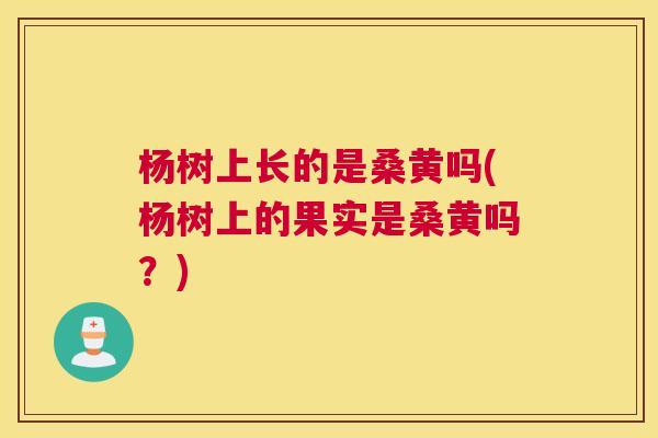 杨树上长的是桑黄吗(杨树上的果实是桑黄吗?) 杨树上长的是桑黄吗(杨树上的果实是桑黄吗?)