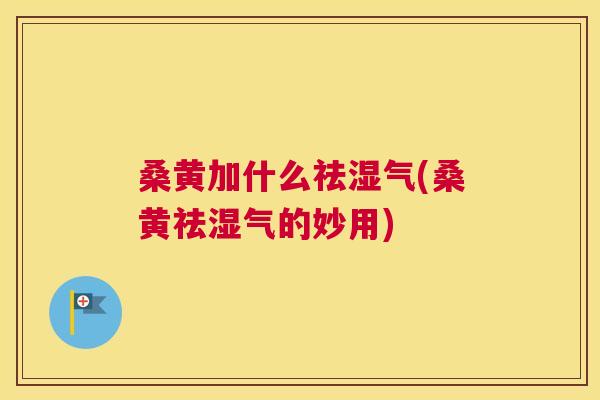 桑黄加什么祛湿气(桑黄祛湿气的妙用) 桑黄加什么祛湿气(桑黄祛湿气的妙用)