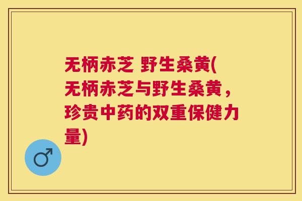 无柄赤芝 野生桑黄(无柄赤芝与野生桑黄,珍贵的双重保健力量) 无柄赤芝 野生桑黄(无柄赤芝与野生桑黄,珍贵的双重保健力量)