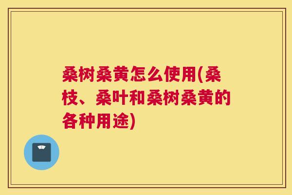 桑树桑黄怎么使用(桑枝、桑叶和桑树桑黄的各种用途)