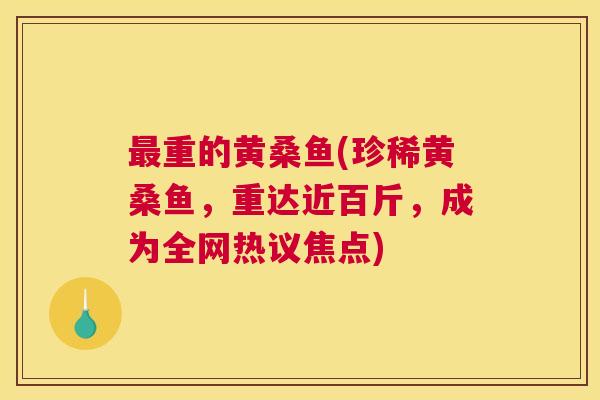 重的黄桑鱼(珍稀黄桑鱼,重达近百斤,成为全网热议焦点) 重的黄桑鱼(珍稀黄桑鱼,重达近百斤,成为全网热议焦点)