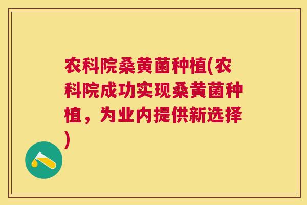 农科院桑黄菌种植(农科院成功实现桑黄菌种植,为业内提供新选择) 农科院桑黄菌种植(农科院成功实现桑黄菌种植,为业内提供新选择)