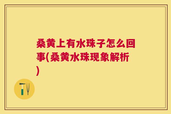 桑黄上有水珠子怎么回事(桑黄水珠现象解析) 桑黄上有水珠子怎么回事(桑黄水珠现象解析)