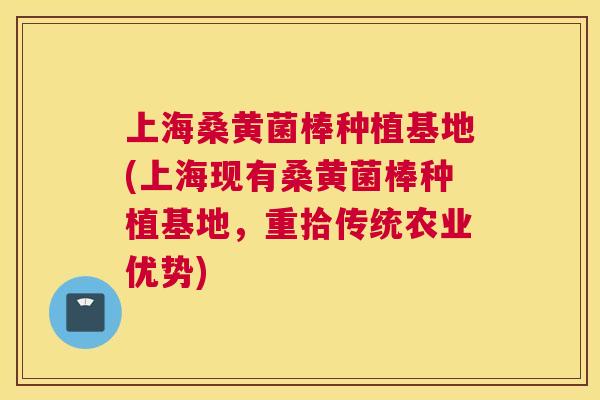 上海桑黄菌棒种植基地(上海现有桑黄菌棒种植基地,重拾传统农业优势) 上海桑黄菌棒种植基地(上海现有桑黄菌棒种植基地,重拾传统农业优势)