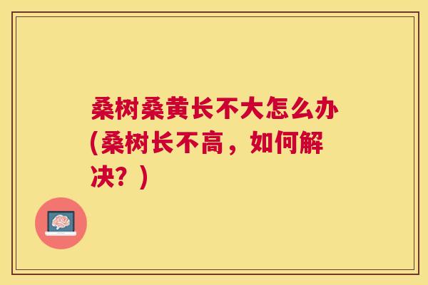 桑树桑黄长不大怎么办(桑树长不高,如何解决?) 桑树桑黄长不大怎么办(桑树长不高,如何解决?)