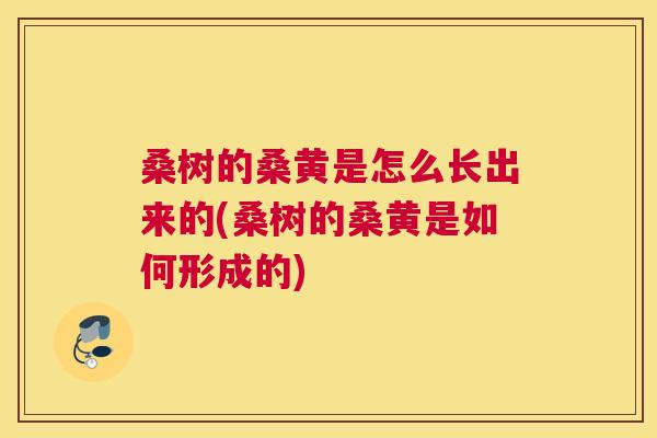 桑树的桑黄是怎么长出来的(桑树的桑黄是如何形成的) 桑树的桑黄是怎么长出来的(桑树的桑黄是如何形成的)