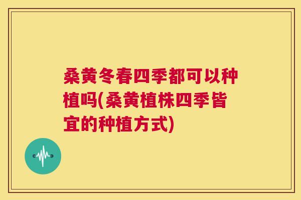 桑黄冬春四季都可以种植吗(桑黄植株四季皆宜的种植方式) 桑黄冬春四季都可以种植吗(桑黄植株四季皆宜的种植方式)