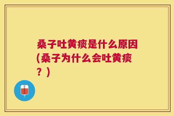 桑子吐黄痰是什么原因(桑子为什么会吐黄痰?) 桑子吐黄痰是什么原因(桑子为什么会吐黄痰?)