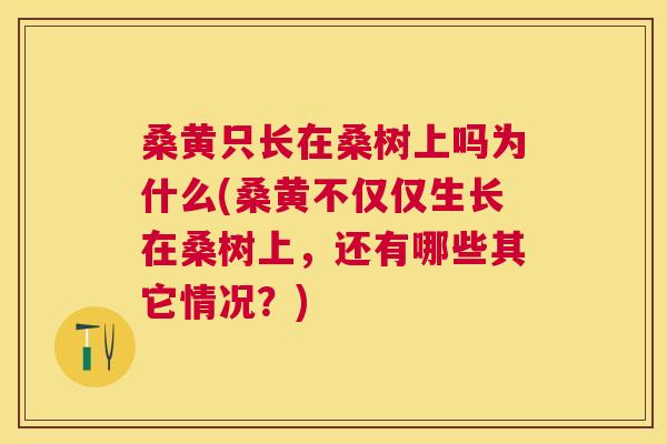 桑黄只长在桑树上吗为什么(桑黄不仅仅生长在桑树上,还有哪些其它情况?) 桑黄只长在桑树上吗为什么(桑黄不仅仅生长在桑树上,还有哪些其它情况?)