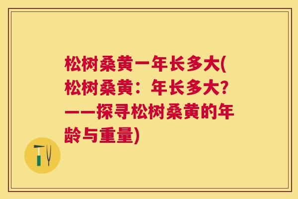 松树桑黄一年长多大(松树桑黄:年长多大?——探寻松树桑黄的年龄与重量) 松树桑黄一年长多大(松树桑黄:年长多大?——探寻松树桑黄的年龄与重量)
