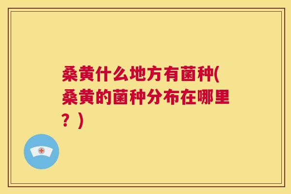 桑黄什么地方有菌种(桑黄的菌种分布在哪里？)