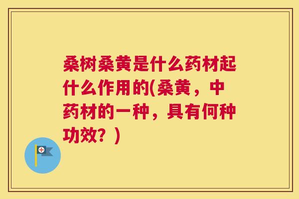 桑树桑黄是什么药材起什么作用的(桑黄,材的一种,具有何种功效?) 桑树桑黄是什么药材起什么作用的(桑黄,材的一种,具有何种功效?)