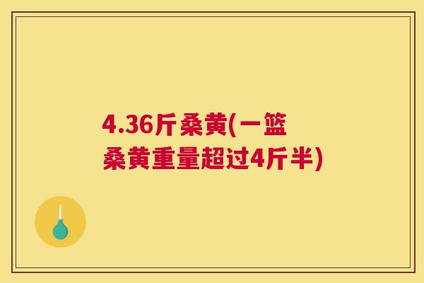 4.36斤桑黄(一篮桑黄重量超过4斤半) 4.36斤桑黄(一篮桑黄重量超过4斤半)