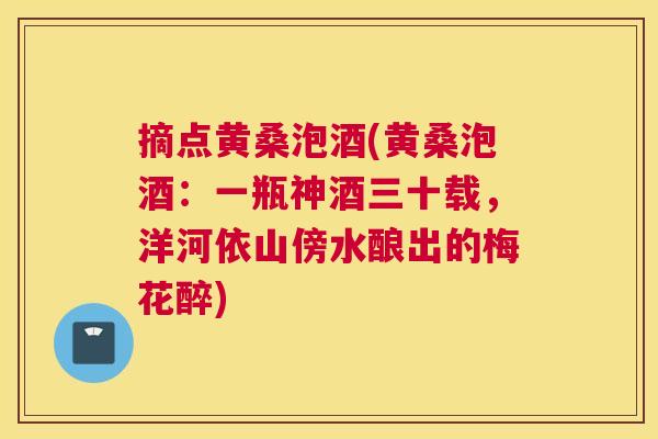 摘点黄桑泡酒(黄桑泡酒:一瓶神酒三十载,洋河依山傍水酿出的梅花醉) 摘点黄桑泡酒(黄桑泡酒:一瓶神酒三十载,洋河依山傍水酿出的梅花醉)
