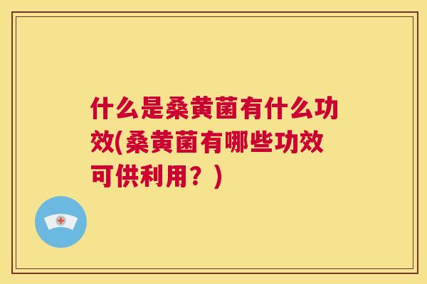 什么是桑黄菌有什么功效(桑黄菌有哪些功效可供利用?) 什么是桑黄菌有什么功效(桑黄菌有哪些功效可供利用?)