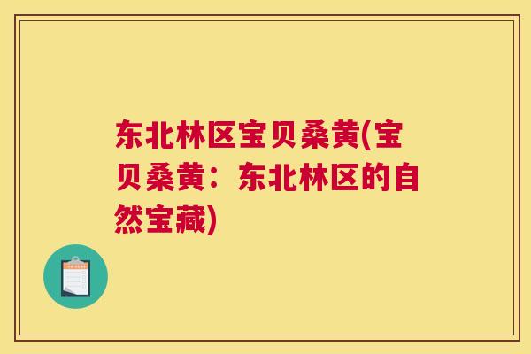 东北林区宝贝桑黄(宝贝桑黄:东北林区的自然宝藏) 东北林区宝贝桑黄(宝贝桑黄:东北林区的自然宝藏)