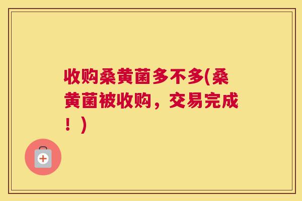 收购桑黄菌多不多(桑黄菌被收购,交易完成!) 收购桑黄菌多不多(桑黄菌被收购,交易完成!)