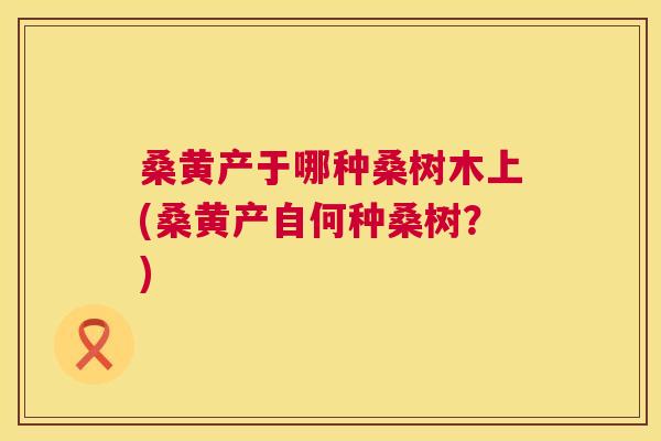 桑黄产于哪种桑树木上(桑黄产自何种桑树?) 桑黄产于哪种桑树木上(桑黄产自何种桑树?)