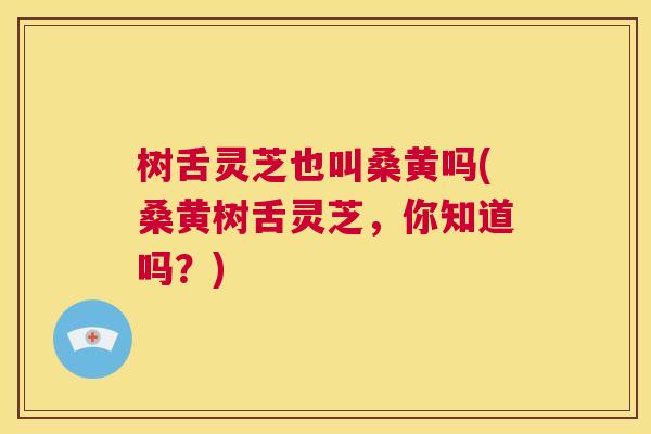 树舌灵芝也叫桑黄吗(桑黄树舌灵芝，你知道吗？)