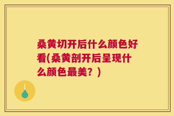 桑黄切开后什么颜色好看(桑黄剖开后呈现什么颜色美?) 桑黄切开后什么颜色好看(桑黄剖开后呈现什么颜色美?)