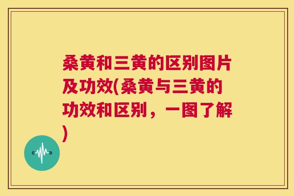 桑黄和三黄的区别图片及功效(桑黄与三黄的功效和区别,一图了解) 桑黄和三黄的区别图片及功效(桑黄与三黄的功效和区别,一图了解)