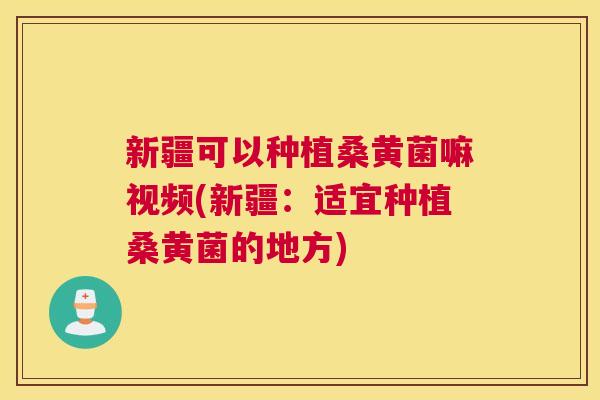 新疆可以种植桑黄菌嘛视频(新疆:适宜种植桑黄菌的地方) 新疆可以种植桑黄菌嘛视频(新疆:适宜种植桑黄菌的地方)
