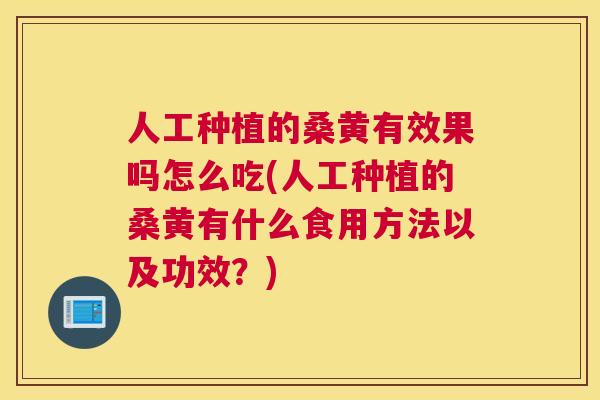 人工种植的桑黄有效果吗怎么吃(人工种植的桑黄有什么食用方法以及功效?) 人工种植的桑黄有效果吗怎么吃(人工种植的桑黄有什么食用方法以及功效?)