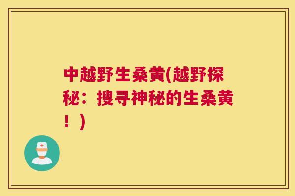 中越野生桑黄(越野探秘:搜寻神秘的生桑黄!) 中越野生桑黄(越野探秘:搜寻神秘的生桑黄!)