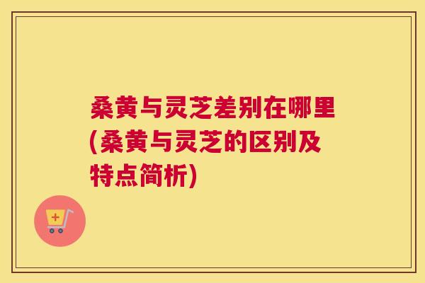 桑黄与灵芝差别在哪里(桑黄与灵芝的区别及特点简析) 桑黄与灵芝差别在哪里(桑黄与灵芝的区别及特点简析)