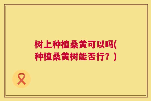 树上种植桑黄可以吗(种植桑黄树能否行?) 树上种植桑黄可以吗(种植桑黄树能否行?)