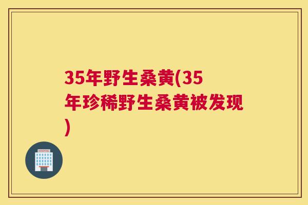 35年野生桑黄(35年珍稀野生桑黄被发现) 35年野生桑黄(35年珍稀野生桑黄被发现)