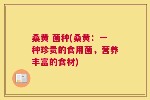 桑黄 菌种(桑黄:一种珍贵的食用菌,营养丰富的食材) 桑黄 菌种(桑黄:一种珍贵的食用菌,营养丰富的食材)