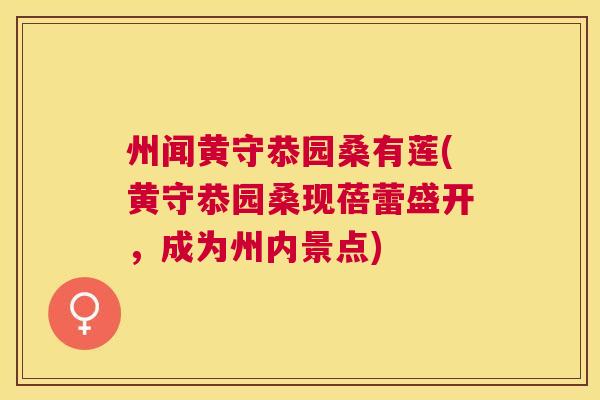 州闻黄守恭园桑有莲(黄守恭园桑现蓓蕾盛开,成为州内景点) 州闻黄守恭园桑有莲(黄守恭园桑现蓓蕾盛开,成为州内景点)