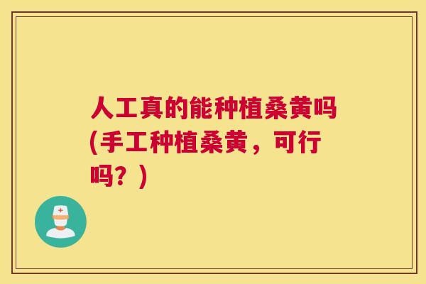 人工真的能种植桑黄吗(手工种植桑黄,可行吗?) 人工真的能种植桑黄吗(手工种植桑黄,可行吗?)