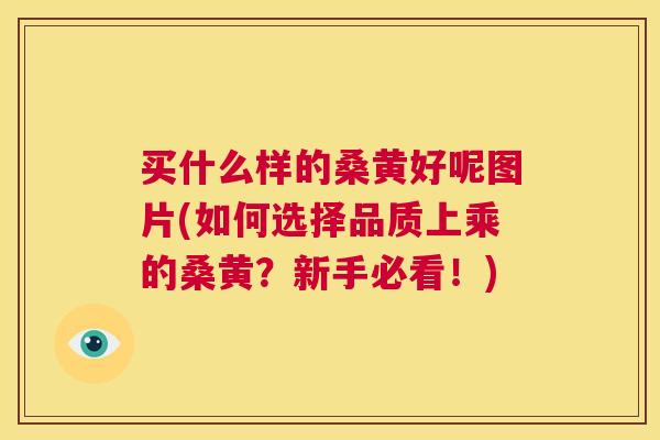 买什么样的桑黄好呢图片(如何选择品质上乘的桑黄?新手必看!) 买什么样的桑黄好呢图片(如何选择品质上乘的桑黄?新手必看!)
