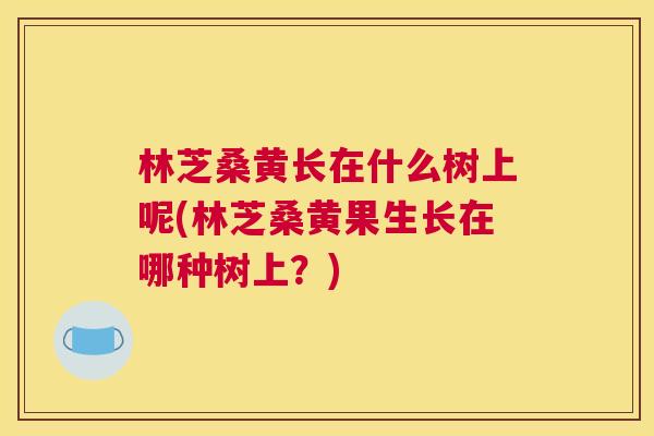林芝桑黄长在什么树上呢(林芝桑黄果生长在哪种树上?) 林芝桑黄长在什么树上呢(林芝桑黄果生长在哪种树上?)