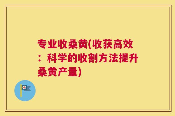 专业收桑黄(收获高效:科学的收割方法提升桑黄产量) 专业收桑黄(收获高效:科学的收割方法提升桑黄产量)
