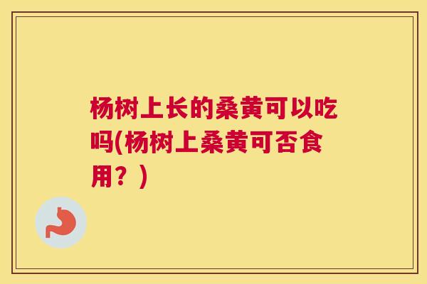 杨树上长的桑黄可以吃吗(杨树上桑黄可否食用?) 杨树上长的桑黄可以吃吗(杨树上桑黄可否食用?)