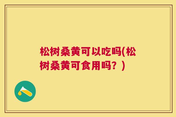 松树桑黄可以吃吗(松树桑黄可食用吗?) 松树桑黄可以吃吗(松树桑黄可食用吗?)