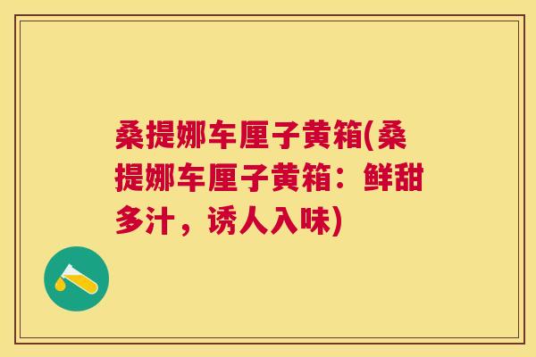 桑提娜车厘子黄箱(桑提娜车厘子黄箱:鲜甜多汁,诱人入味) 桑提娜车厘子黄箱(桑提娜车厘子黄箱:鲜甜多汁,诱人入味)