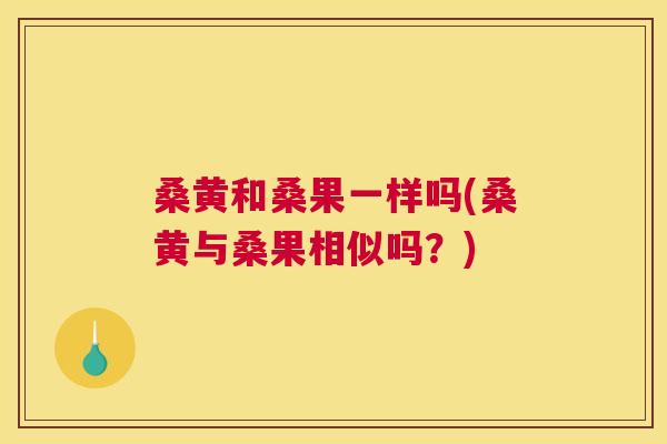 桑黄和桑果一样吗(桑黄与桑果相似吗?) 桑黄和桑果一样吗(桑黄与桑果相似吗?)
