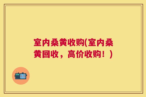 室内桑黄收购(室内桑黄回收,高价收购!) 室内桑黄收购(室内桑黄回收,高价收购!)